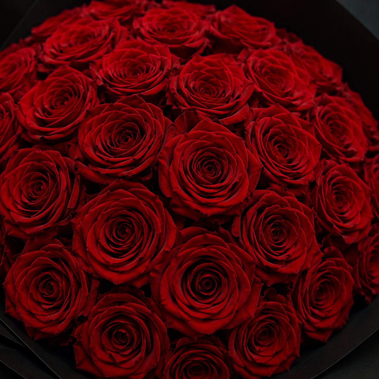 Maison Rouge | CHERRY BLOSSOM®