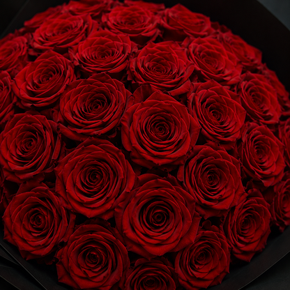 Maison Rouge | CHERRY BLOSSOM®
